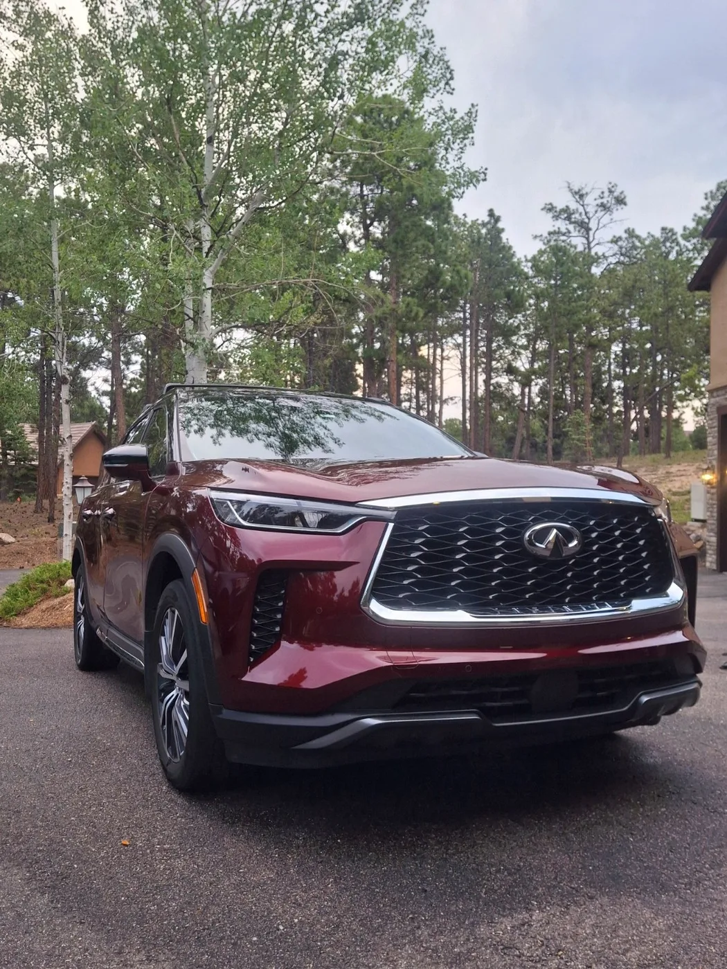 Deep red Infiniti SUV freshly detailed in a wooded driveway